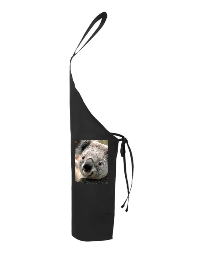 Butcher Apron - Q2010