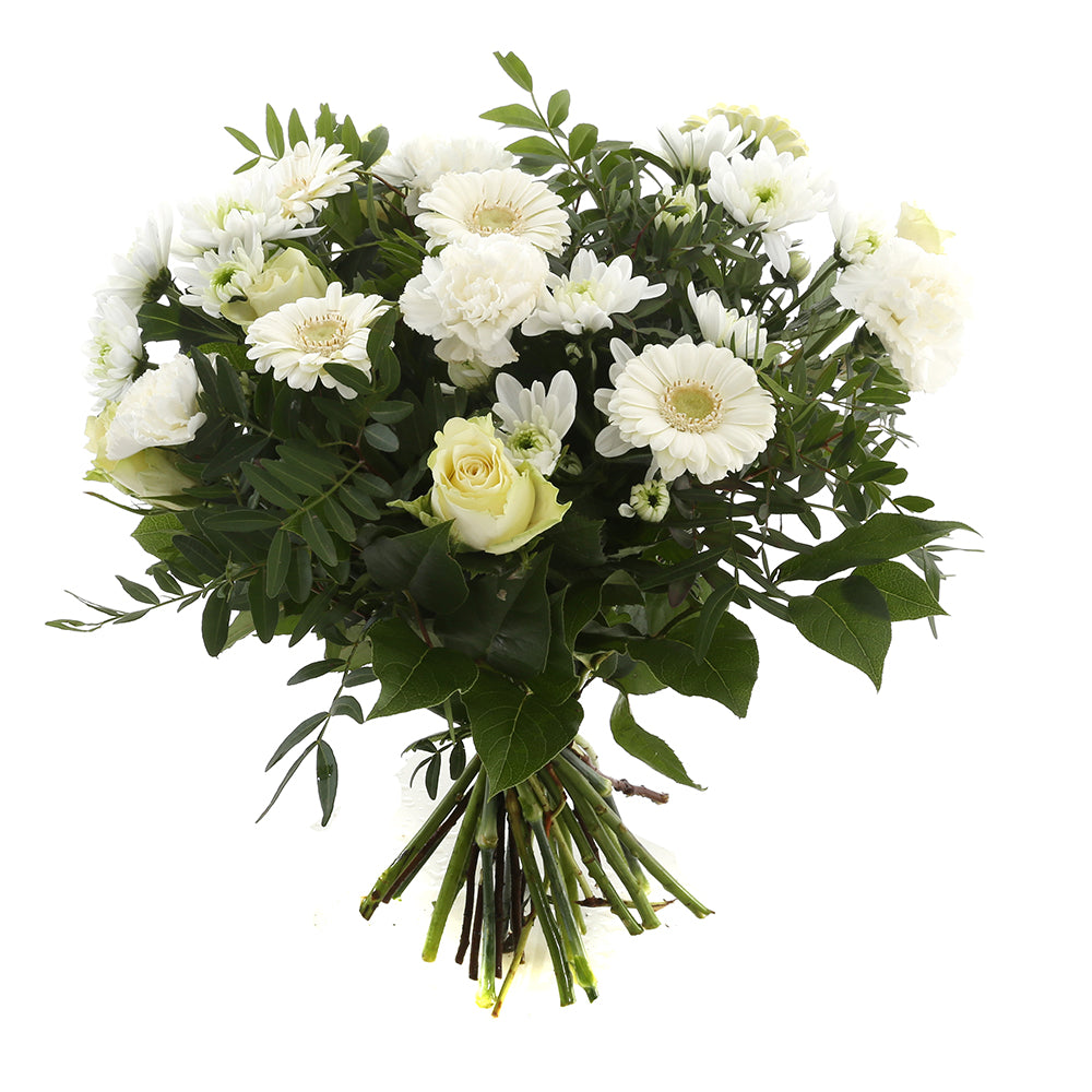 Springtime White