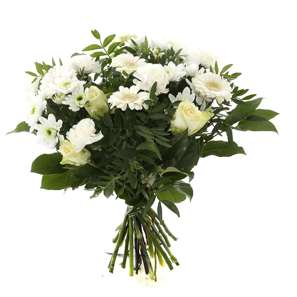 Springtime White