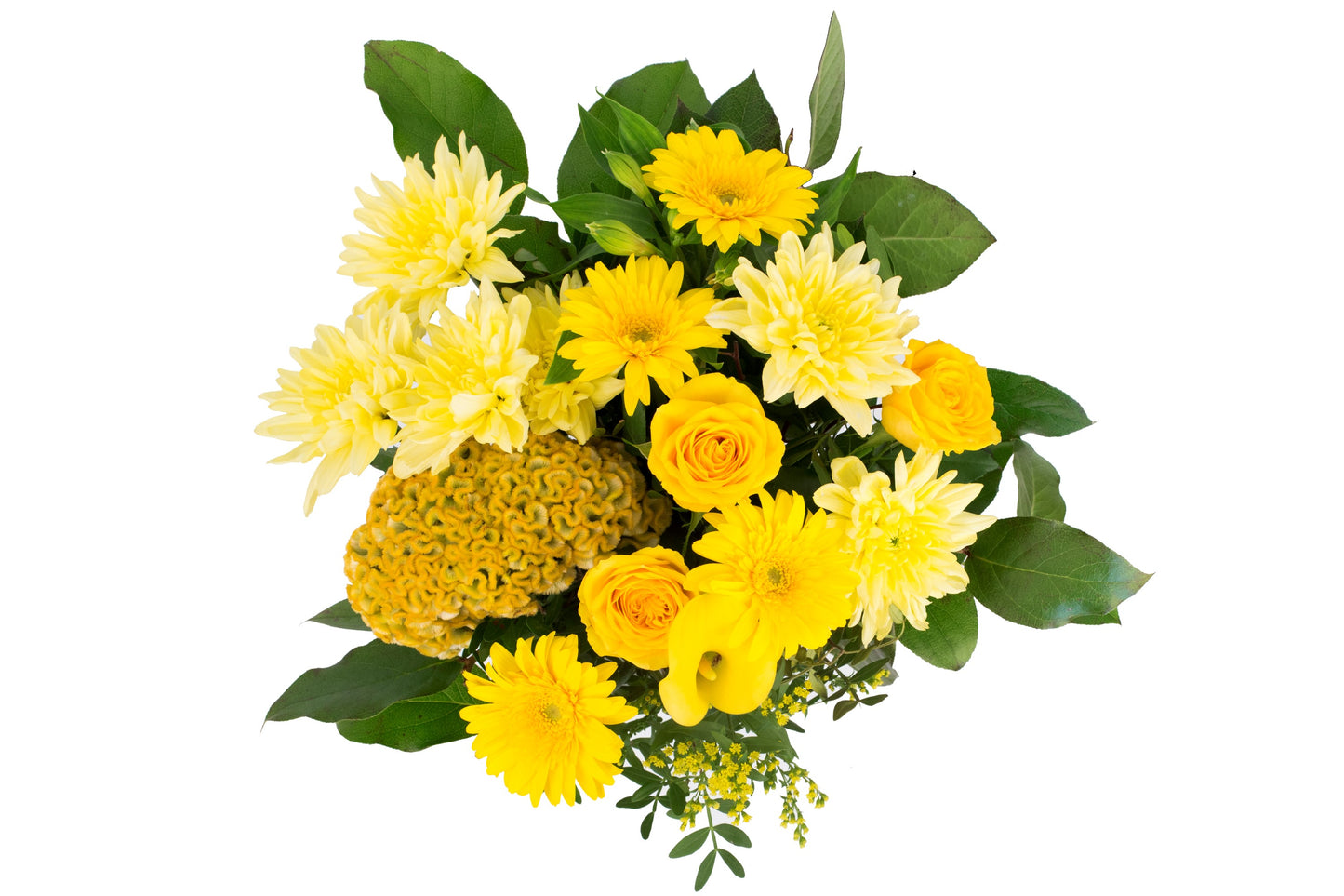 Kim Medium Yellow