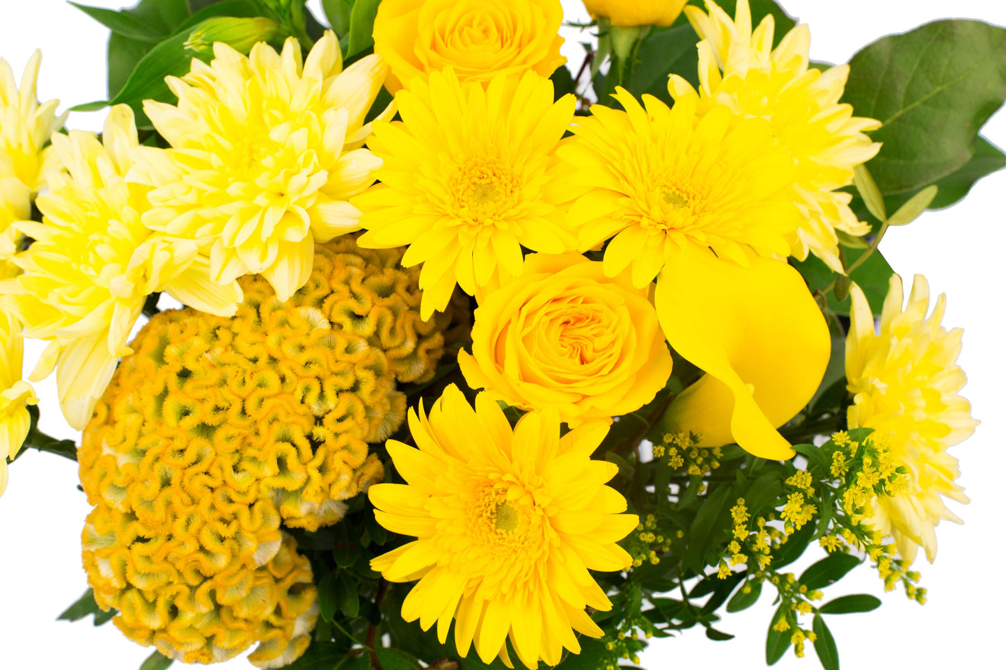Kim Medium Yellow