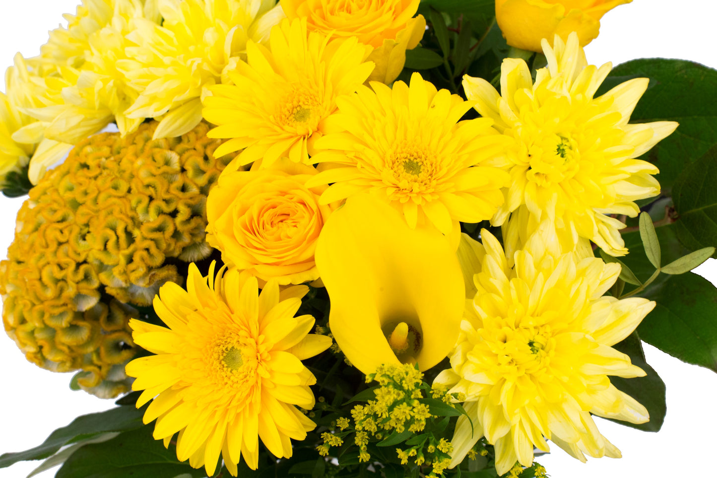 Kim Medium Yellow