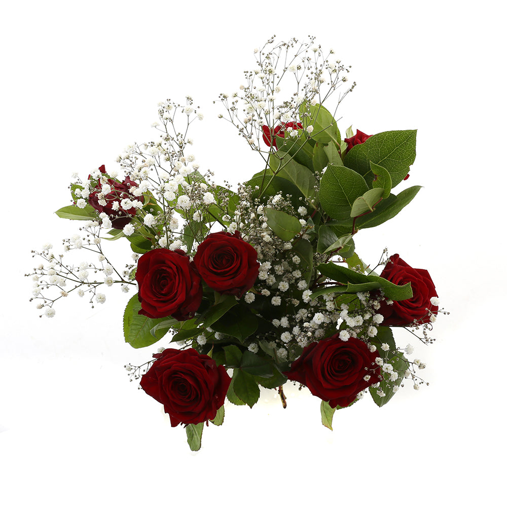 Red Sensation Rood