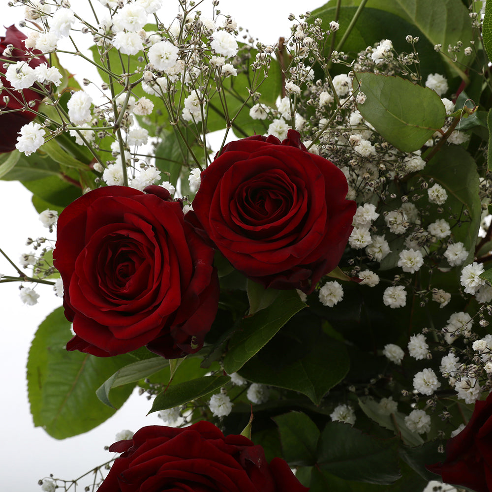 Red Sensation Rood