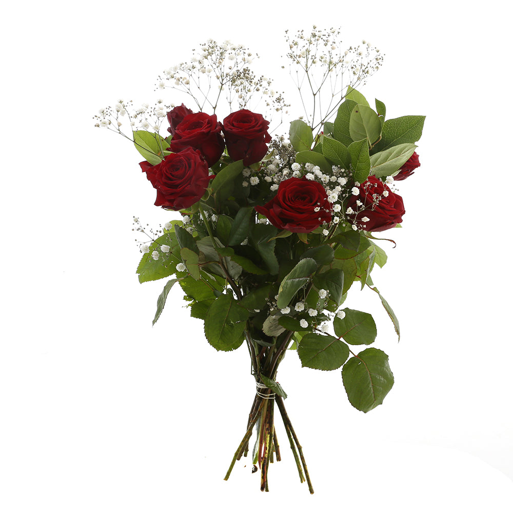 Red Sensation Rood