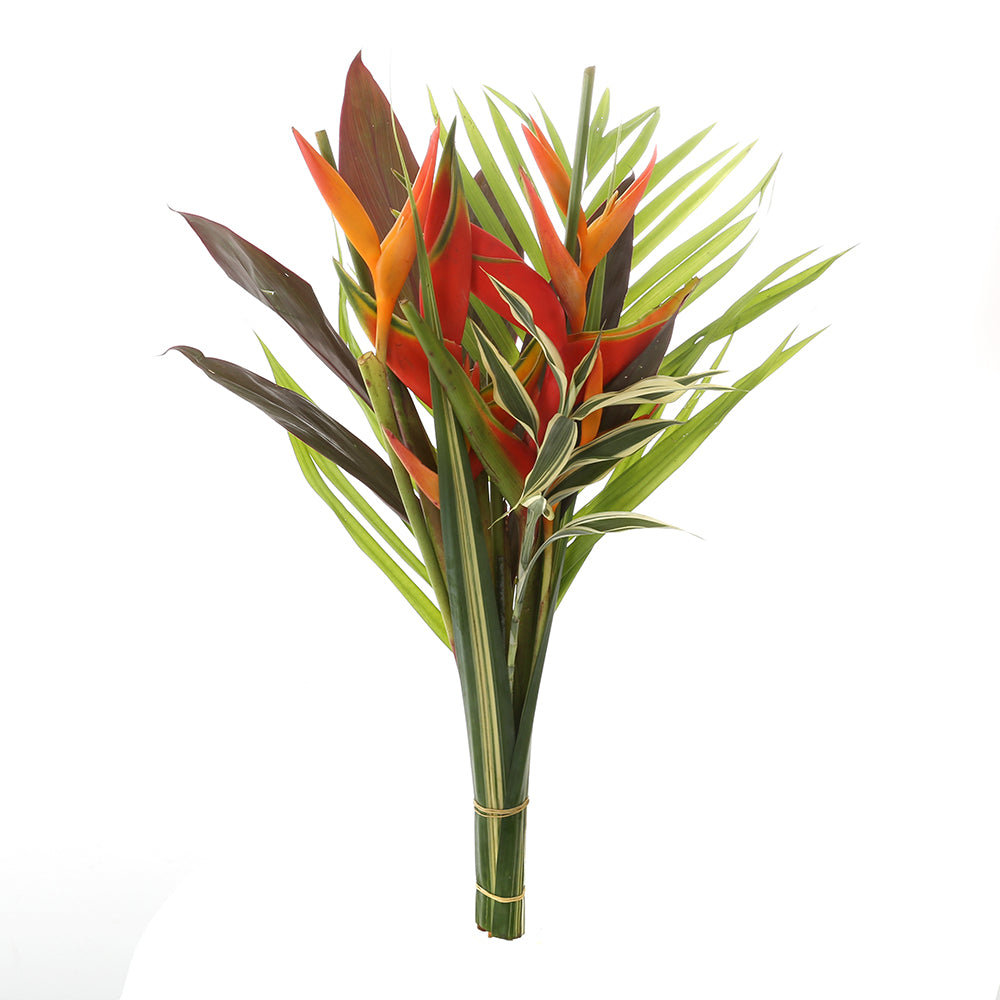 Tropical Delight