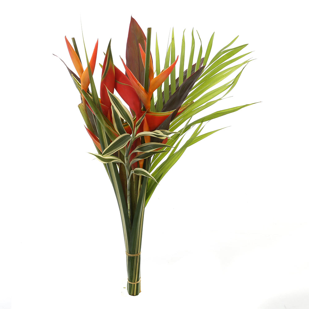 Tropical Delight