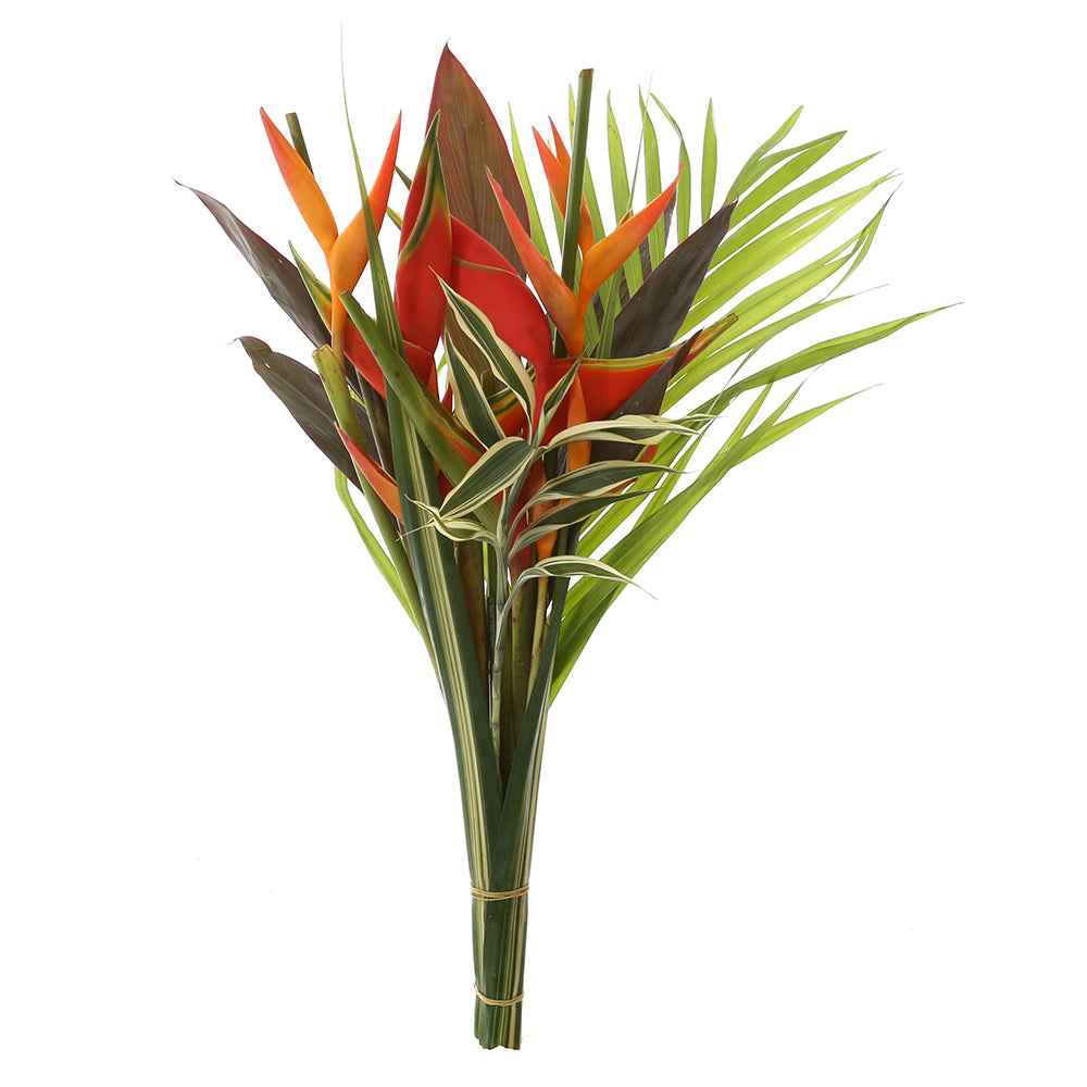 Tropical Delight
