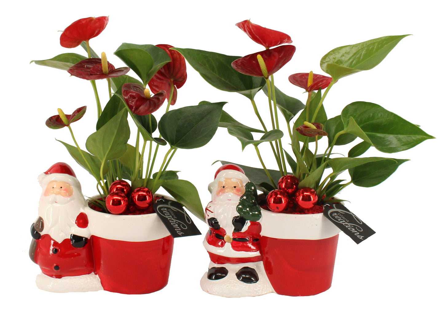 Kerst arrangement