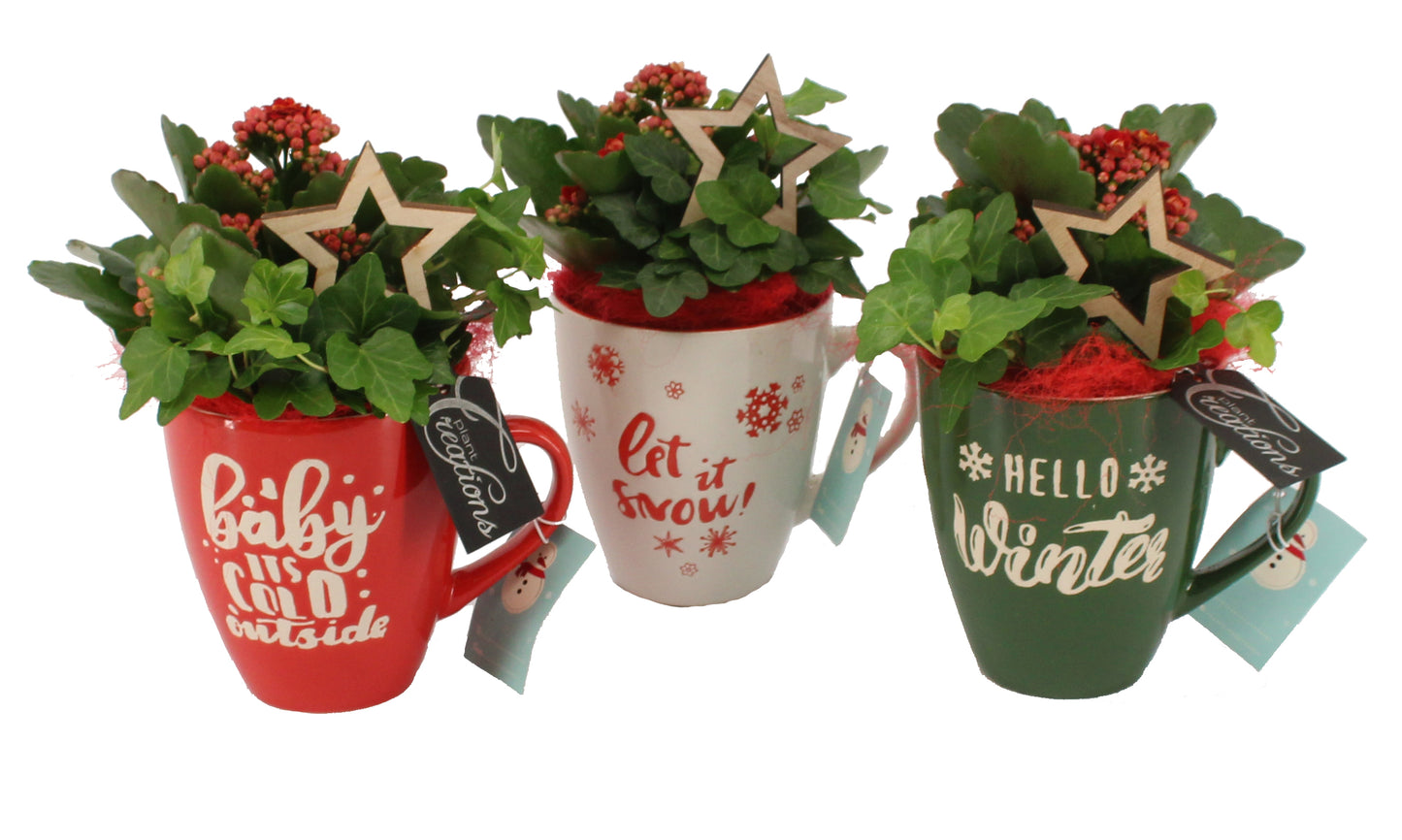 Kerst arrangement