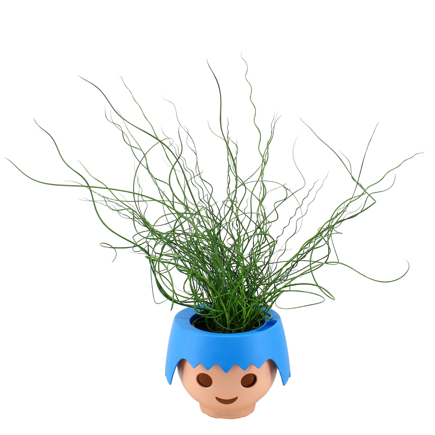 Ojo pop Playmobil met plant