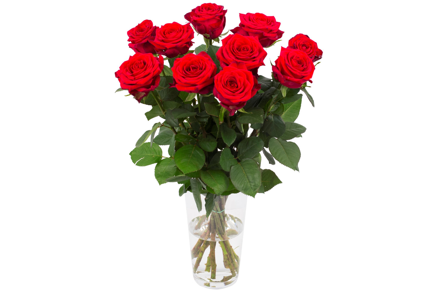 Roos Red Naomi Small (10 stuks)