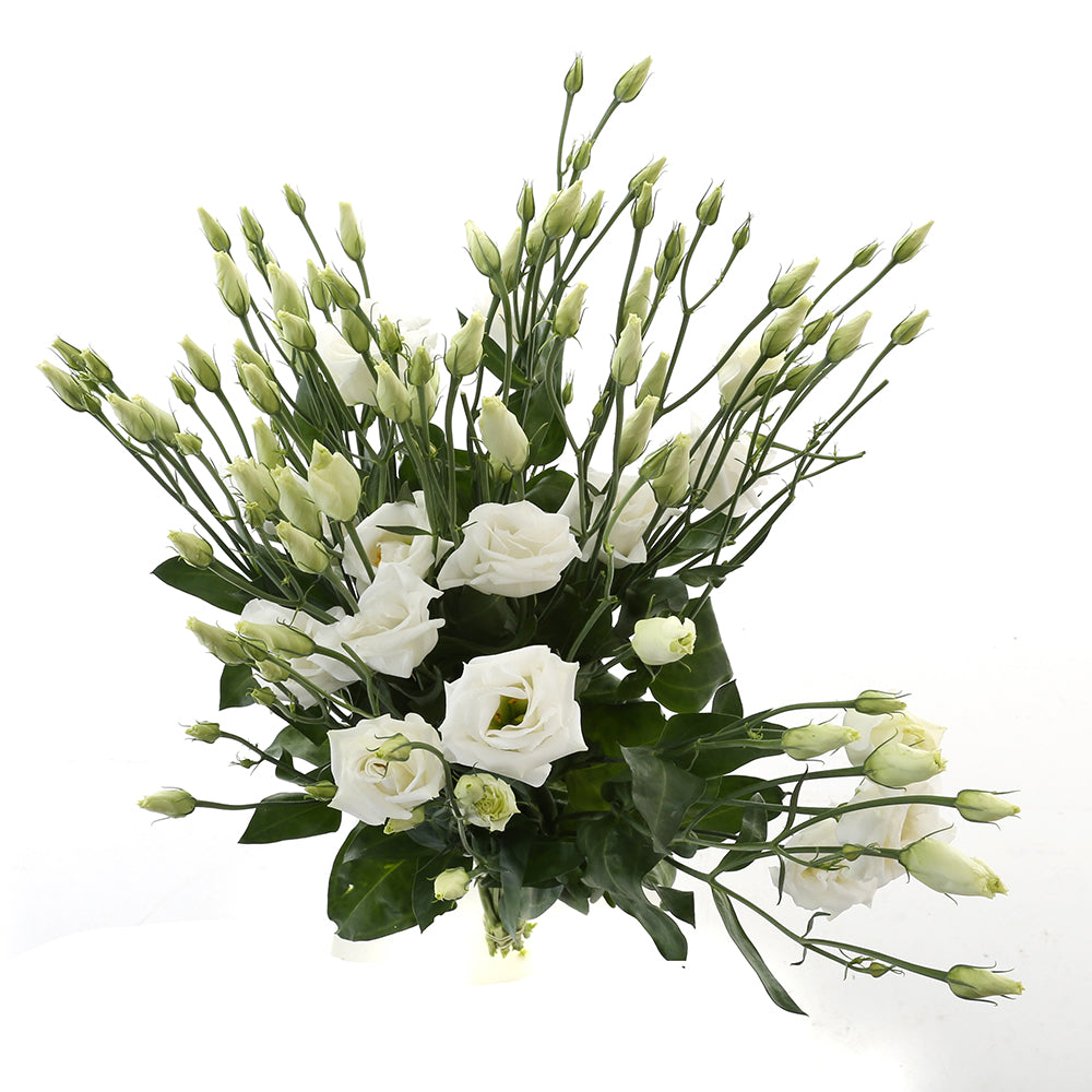 Lisianthus