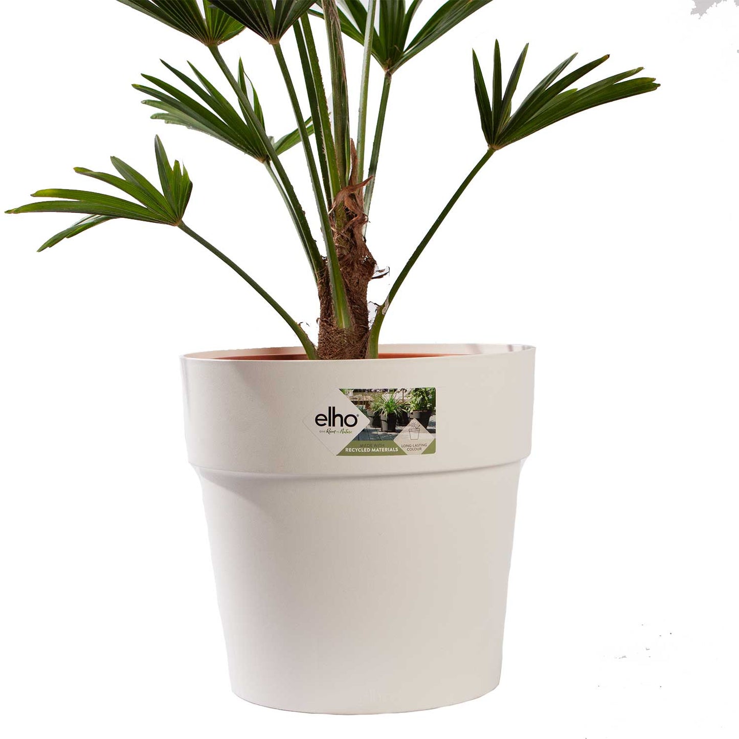 WAGNER PALM MET POT