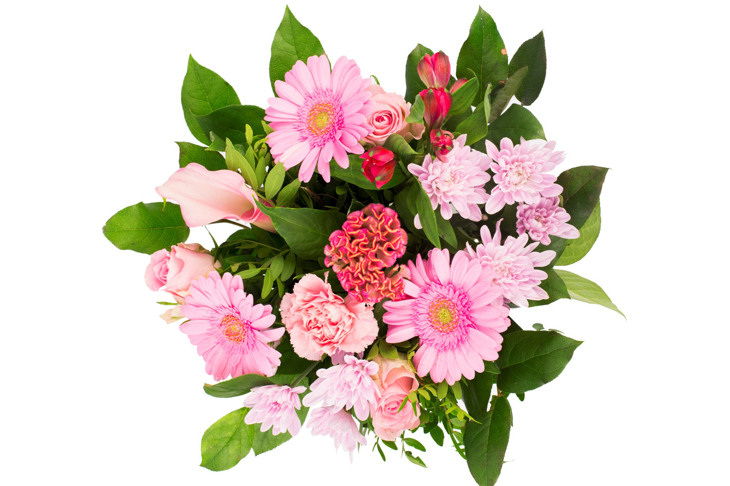 Kim Medium Pink