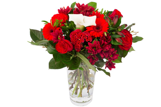 Kim Medium Red