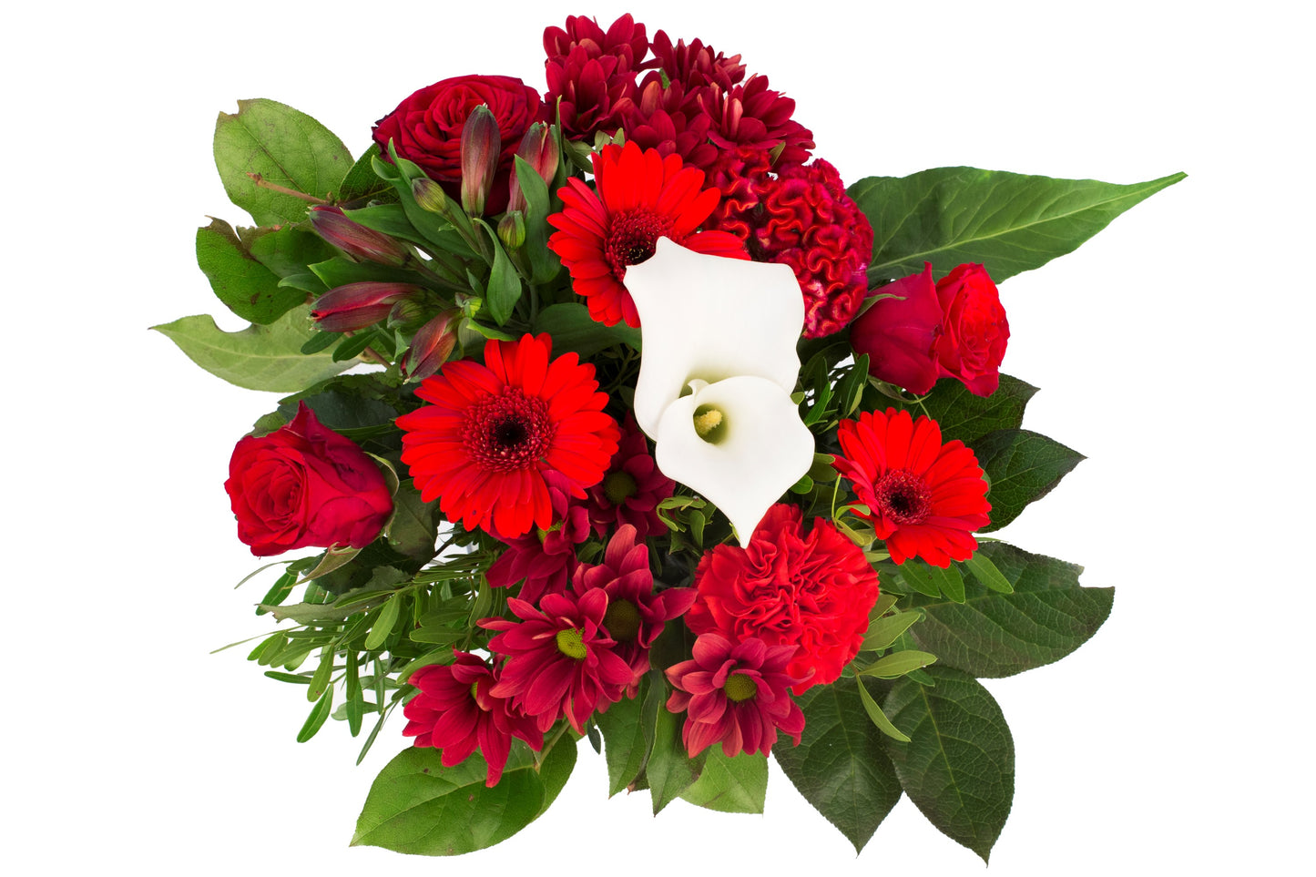 Kim Medium Red