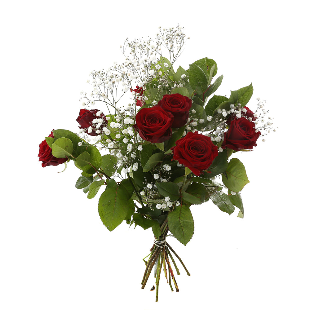 Red Sensation Rood
