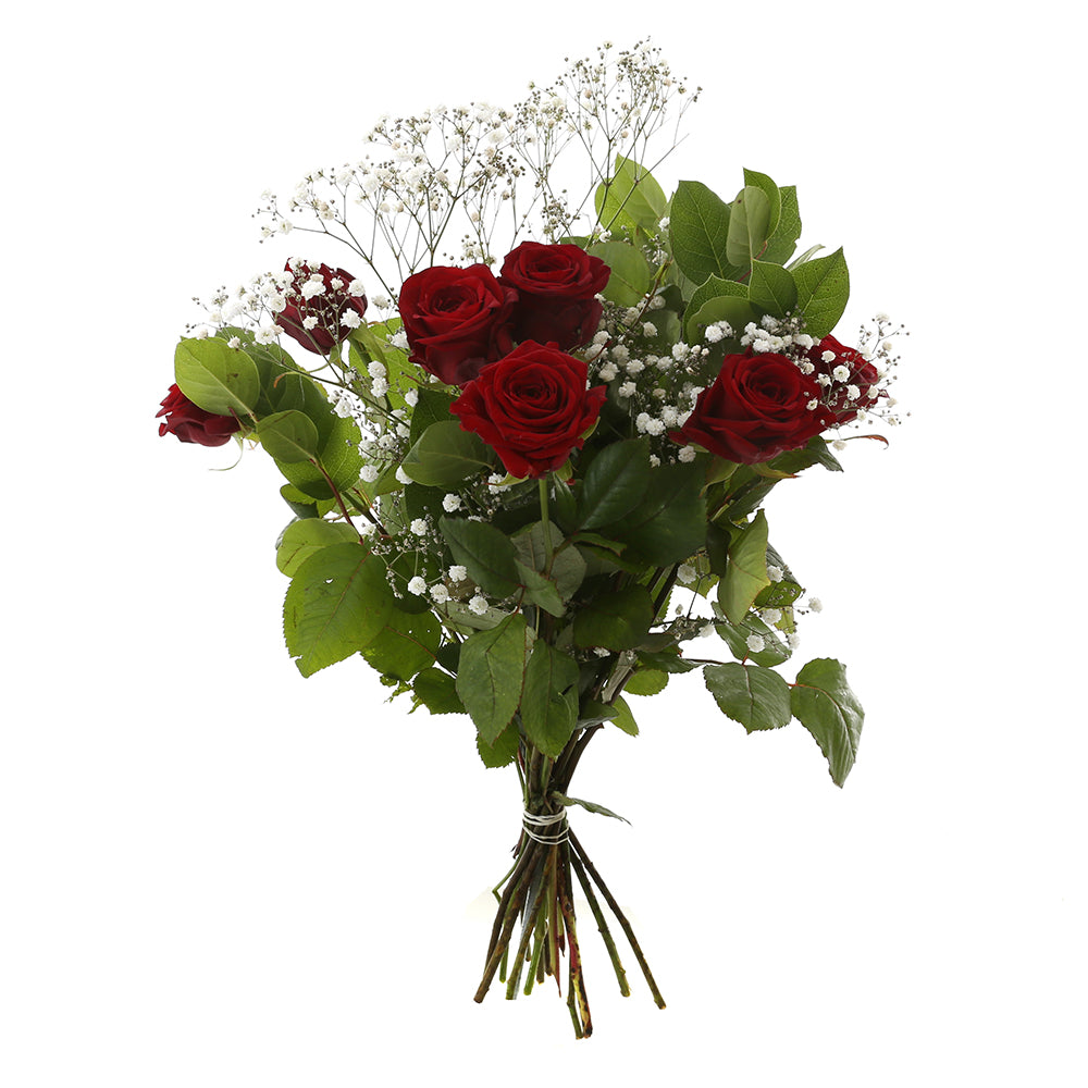 Red Sensation Rood