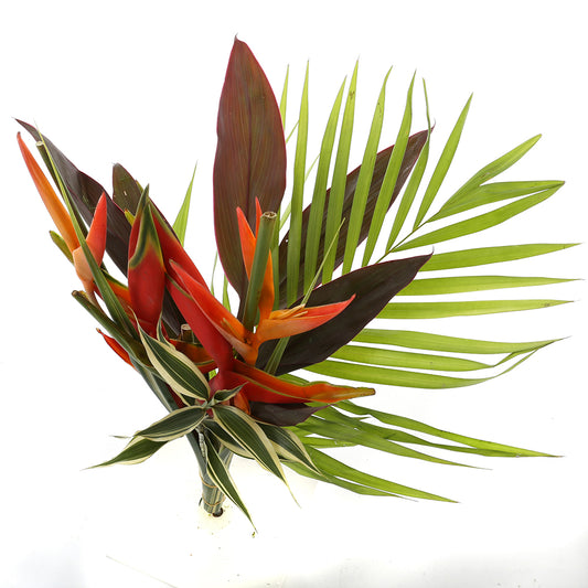 Tropical Delight