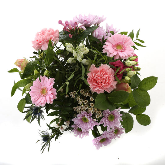 Kim Large Pink