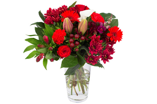 Kim Large Red