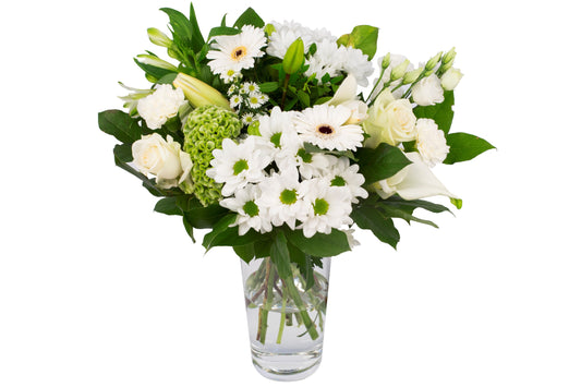 Kim Large White