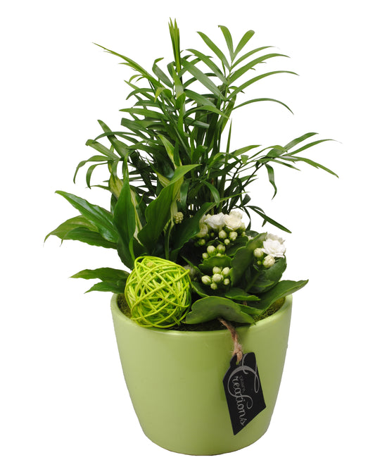 Arrangement Basic creatie in keramiek groen