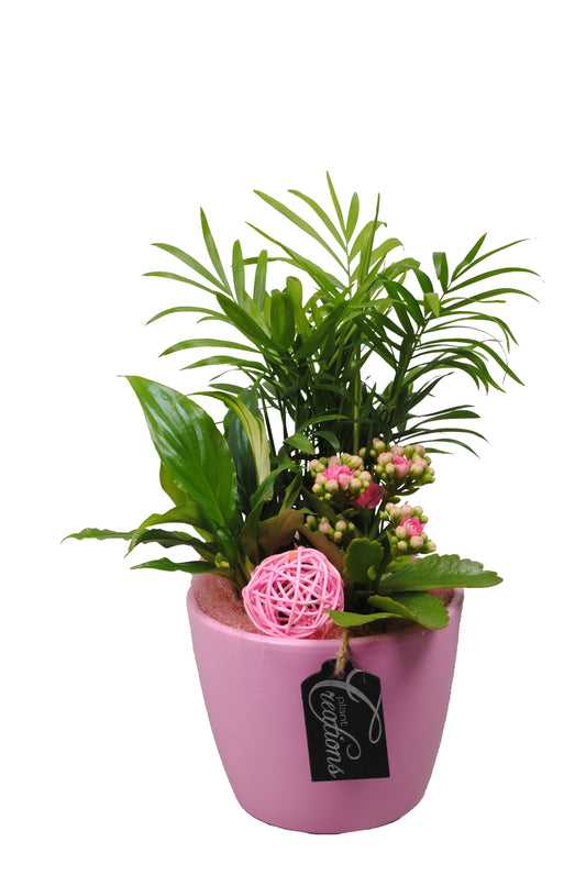 Arrangement Basic creatie in keramiek roze