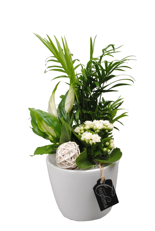 Arrangement Basic creatie in keramiek wit