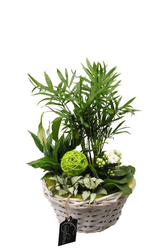 Arrangement Basic creatie in mand groen