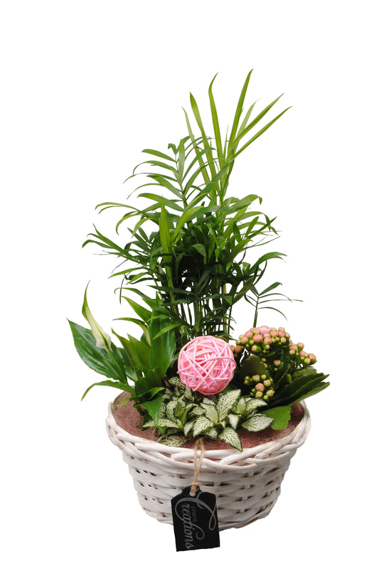 Arrangement Basic creatie in mand roze