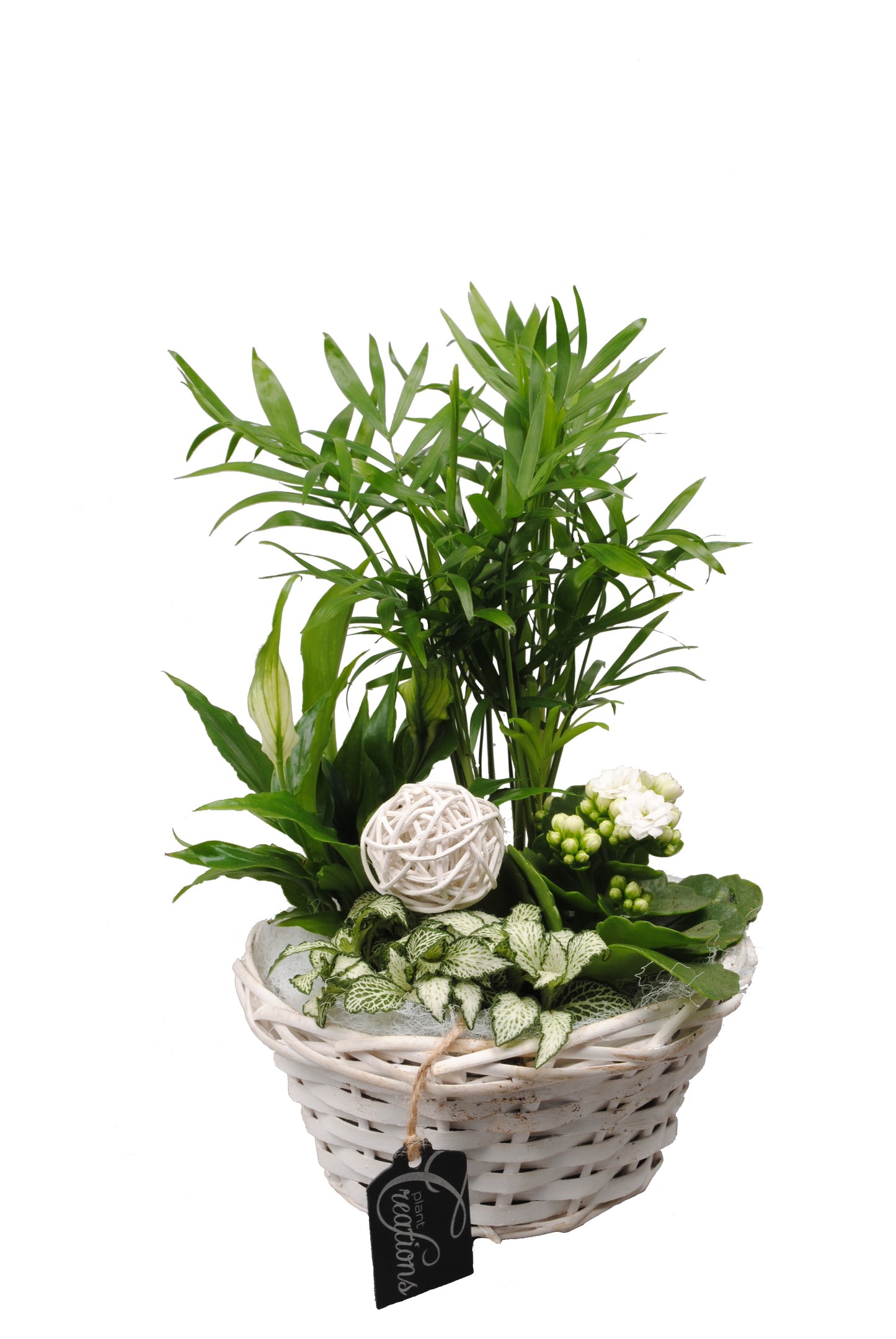 Arrangement Basic creatie in mand wit