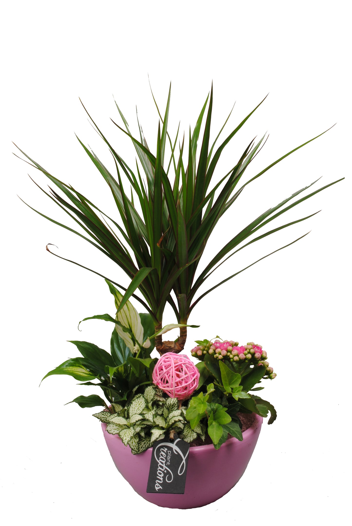 Arrangement Basis creatie in schaal keramiek roze