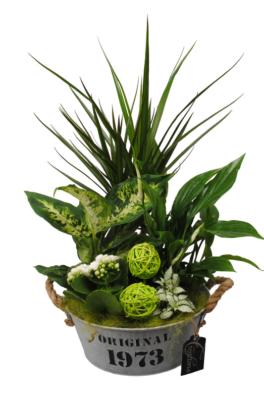 Arrangement Basic creatie in zink groen