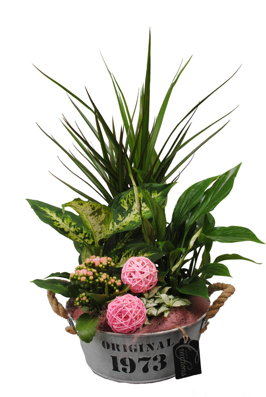 Arrangement Basic creatie in zink roze