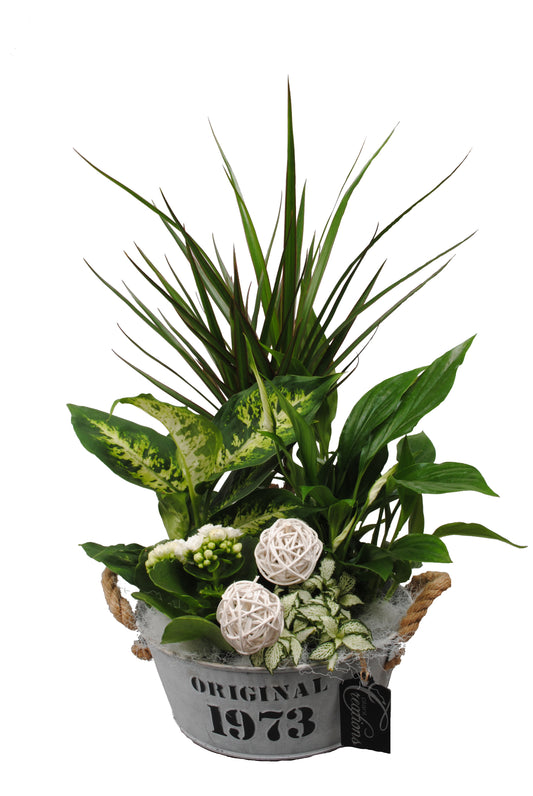 Arrangement Basic creatie in zink wit