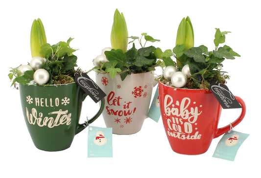 Kerst arrangement