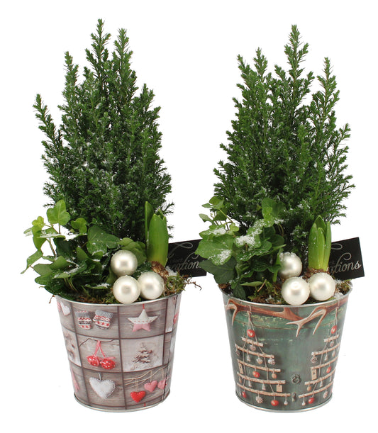 Kerst arrangement