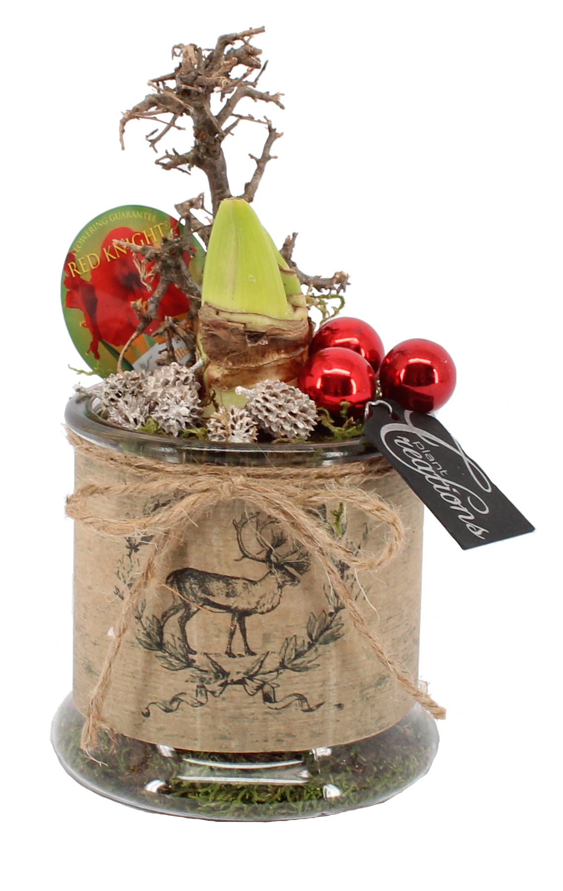 Kerst arrangement