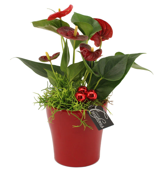 Kerst arrangement