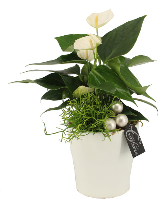 Kerst arrangement