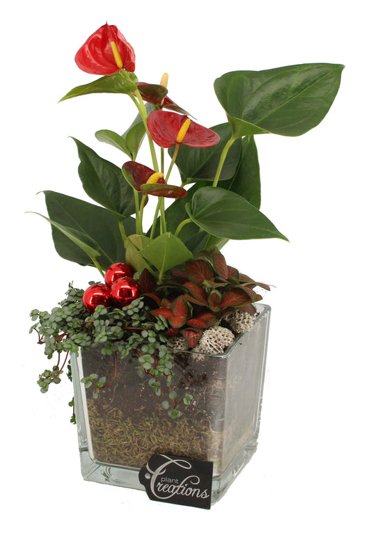 Kerst arrangement