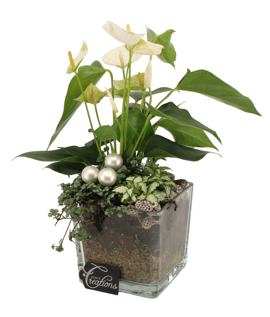 Kerst arrangement