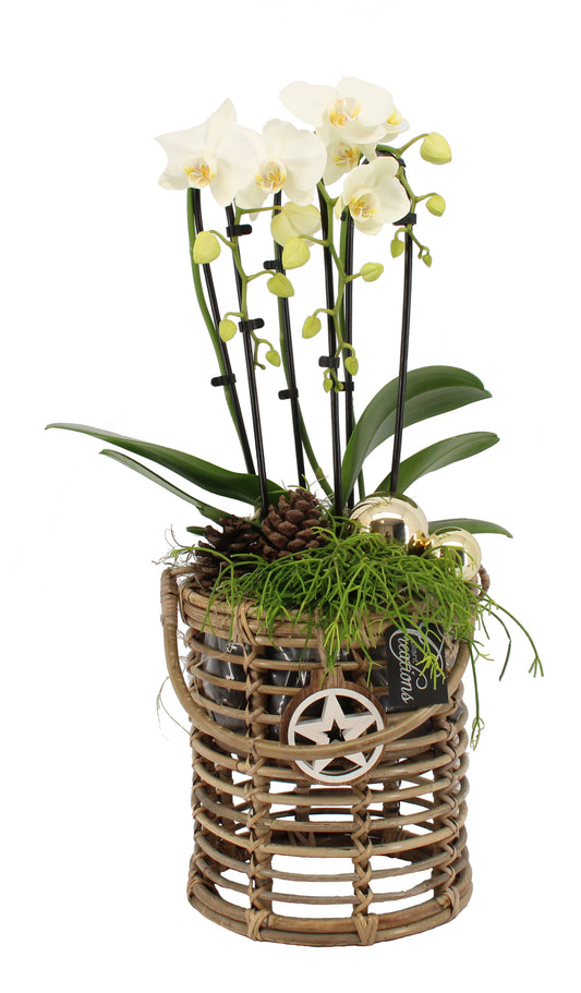Kerst arrangement