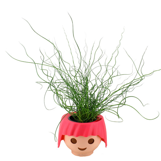 Ojo pop Playmobil met plant