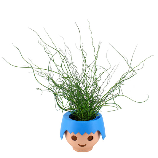 Ojo pop Playmobil met plant