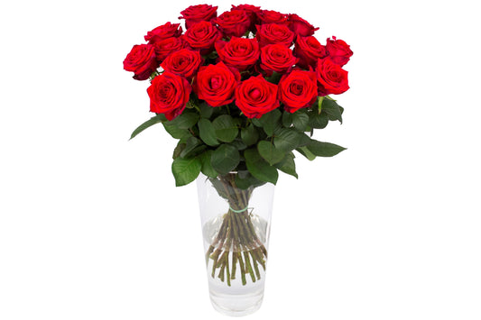 Roos Red Naomi Large (20 stuks)