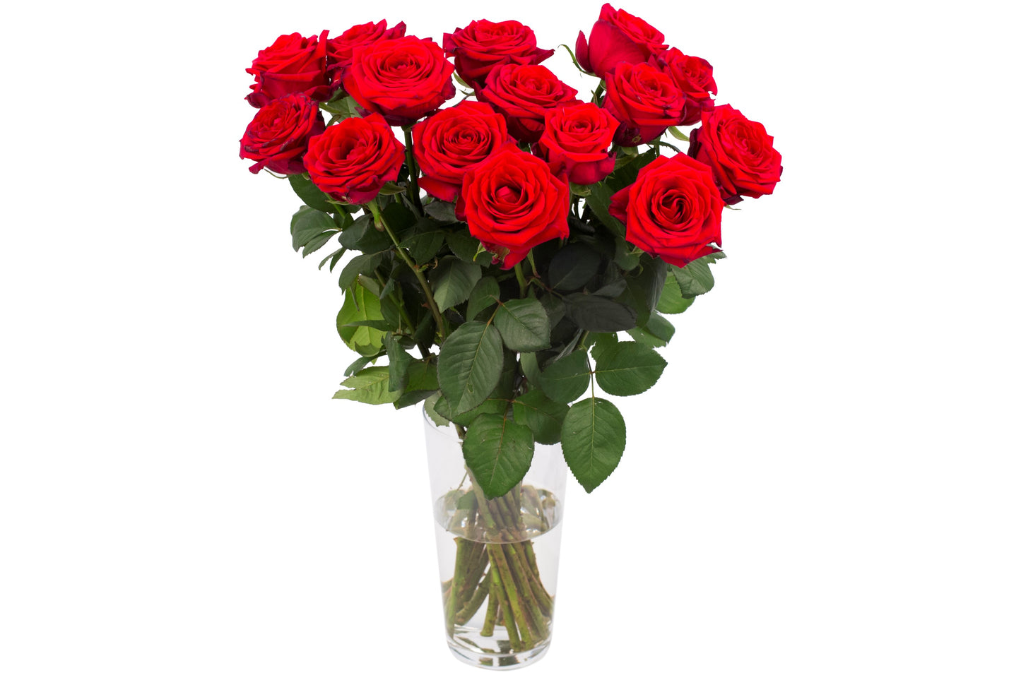Roos Red Naomi Medium (15 stuks)