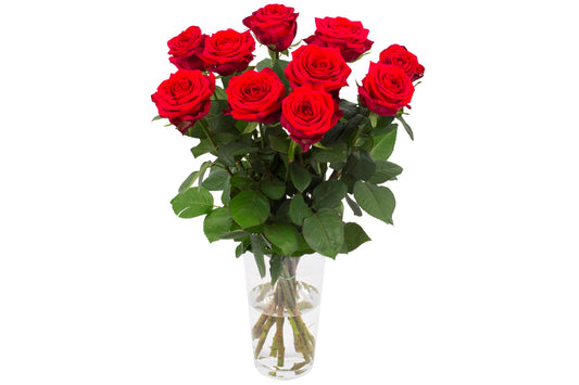 Roos Red Naomi Small (10 stuks)